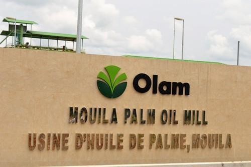 La filière huile de palme poursuit sa consolidation au Gabon