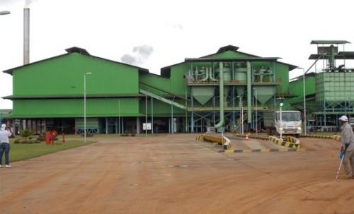 Secteur agroalimentaire : le Singapourien Olam a investi plus de 1300 milliards de FCFA au Gabon depuis 2010