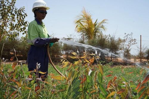 Eramet annonce la tenue d’un colloque entre le Gabon et le Sénégal pour tabler sur ses objectifs en matière de réhabilitation des sites miniers