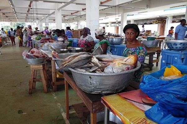 Production halieutique : ce que prévoit le Gabon pour accroître la part de la pêche dans son PIB d’ici 2026