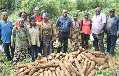 Production agricole : le Gabon et la FAO tiennent la revue à mi-parcours de leur programme quinquennal de coopération