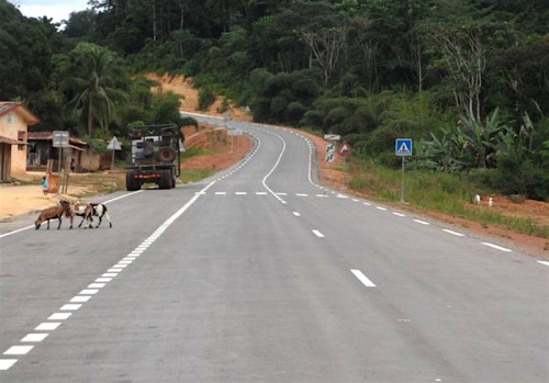 La société chinoise CRBC va construire un linéaire routier de 862 km au Gabon