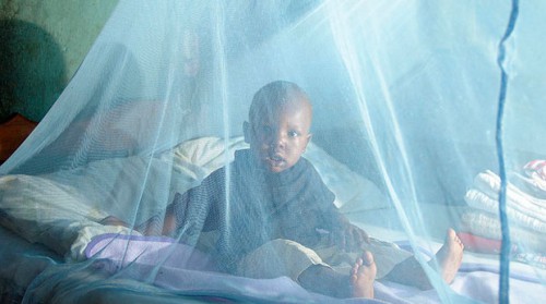 Axa Gabon contribue à la lutte contre paludisme