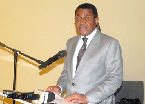 Le Gabon propose un comité ad hoc des chefs d’Etat contre la criminalité faunique
