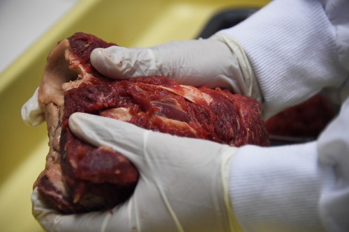 Scandale de la viande avariée au Brésil : le Gabon suspend des importations en provenance des fournisseurs brésiliens