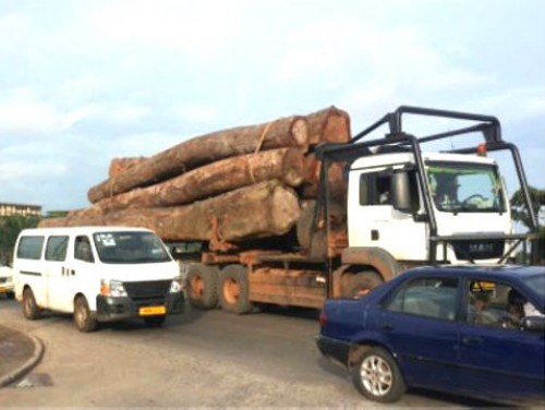 Sept responsables de compagnies forestières épinglés pour exploitation illégale