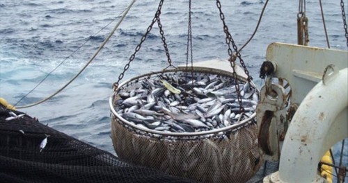 La société américaine Allen va investir 40 millions de dollars au Gabon pour lutter contre la pêche illégale