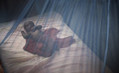 La Fondation Sylvia Bongo distribue 2000 moustiquaires imprégnées à Libreville