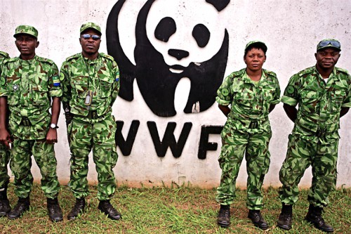 Le WWF apporte son appui au Gabon dans la lutte contre la criminalité et le commerce illégal des ressources fauniques
