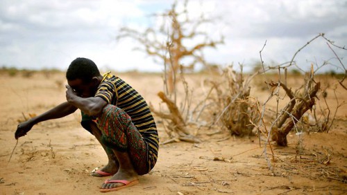 Au Bloomberg global business Forum de New York, Ali Bongo expose les priorités du continent en matière de climat