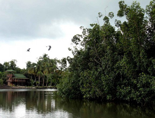 L’AFD soutient la préservation et la gestion intégrée des aires protégées de la région de Libreville