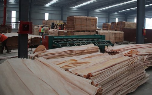Entre 2010 et 2018, la transformation du bois au Gabon est passée de 280 mille à 1,3 million de m3