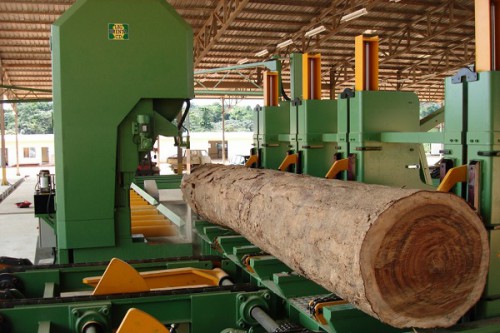 Transformation du bois : 80 nouvelles usines seront ouvertes cette année à la zone économique spéciale de Nkok