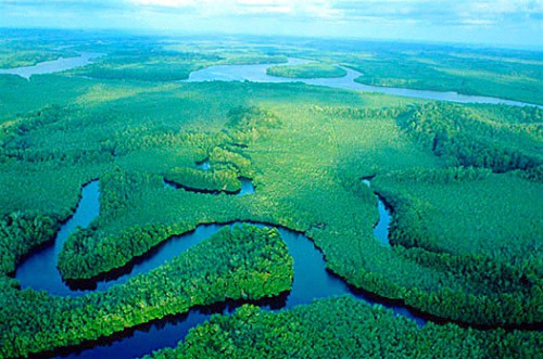 Le Programme d’appui à la conservation des écosystèmes du bassin du Congo revendique un bilan satisfaisant