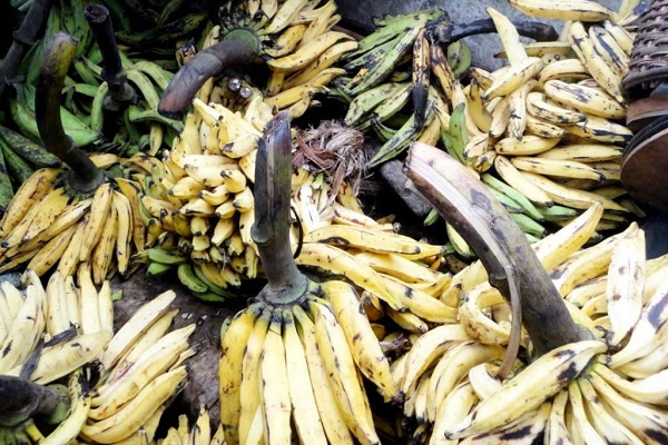 Produits contenant du formol : le Gabon instaure des tests sur les fruits et légumes provenant du Cameroun