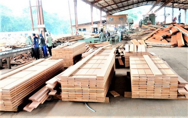 Secteur bois: près de 200 personnes formées au système de Traçabilité « Stminef » au Gabon