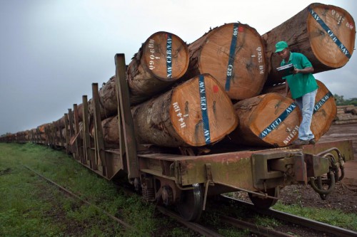L’AEAFFB remet la première attestation de conformité au schéma de la certification forestière, à la société Precious Woods-Compagnie équatoriale des bois  