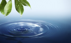 La Ceeac dispose désormais d’un système d’information sur l’eau
