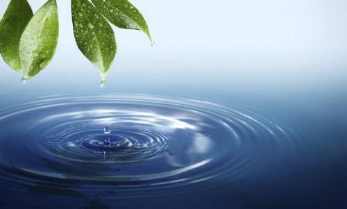 La Ceeac dispose désormais d’un système d’information sur l’eau