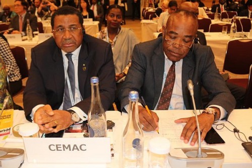 La Cemac cherche à capter une partie des 20 milliards de dollars d’investissements privés japonais envisagés en Afrique   