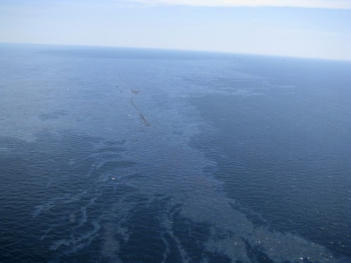 Une nappe de pétrole en Louisiane. 