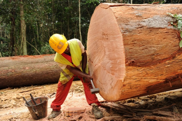 14 milliards de FCFA pour la mise à niveau des PME des secteurs bois, mines et artisanat