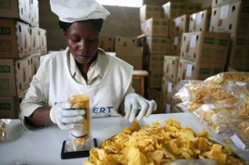 La Ceeac valide 25 demandes d’agrément de produits industriels à tarif préférentiel  transmis par le Cameroun