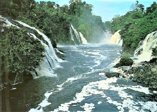 Le parc national de l&#039;Ivindo inscrit au patrimoine mondial de l&#039;Unesco