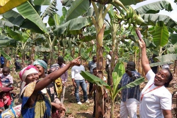Journée mondiale de l’alimentation : l’agriculture au cœur de la célébration au Gabon