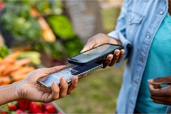Budget 2025 : les députés rejettent la taxe sur les transactions électroniques
