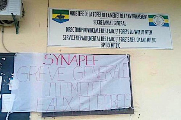 Le Syndicat national des professionnels des eaux et forêt du Gabon relance sa grève illimitée