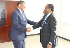 Le projet d’interconnexion électrique entre la Guinée Équatoriale et le Gabon en discussion