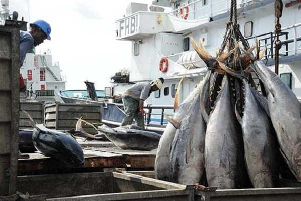 Accord de pêche : pour industrialiser le secteur, le Gabon veut obtenir plus de l’Union européenne