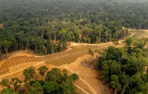 L’AFD outille la société civile gabonaise dans le suivi du respect des engagements socio-environnementaux