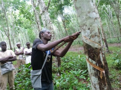 SIAT-Gabon matérialise le contrat d’apprentissage jeunesse signé avec l’Etat gabonais