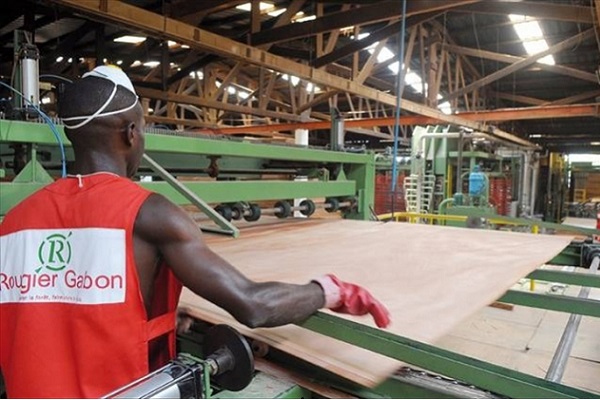 Rougier Afrique commercialise en Europe des contreplaqués okoumés certifiés FSC produits au Gabon