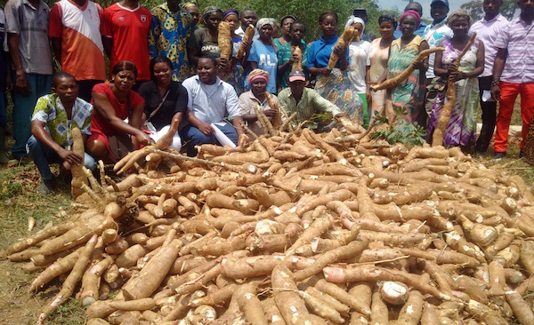 La contribution du programme GRAINE dans le PIB national reste marginale