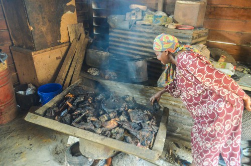 Les populations du bassin du Congo consomment 4,6 millions de tonnes de viande sauvage chaque année