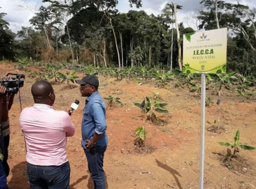 La première génération des jeunes entrepreneurs du cacao et du café sur le terrain