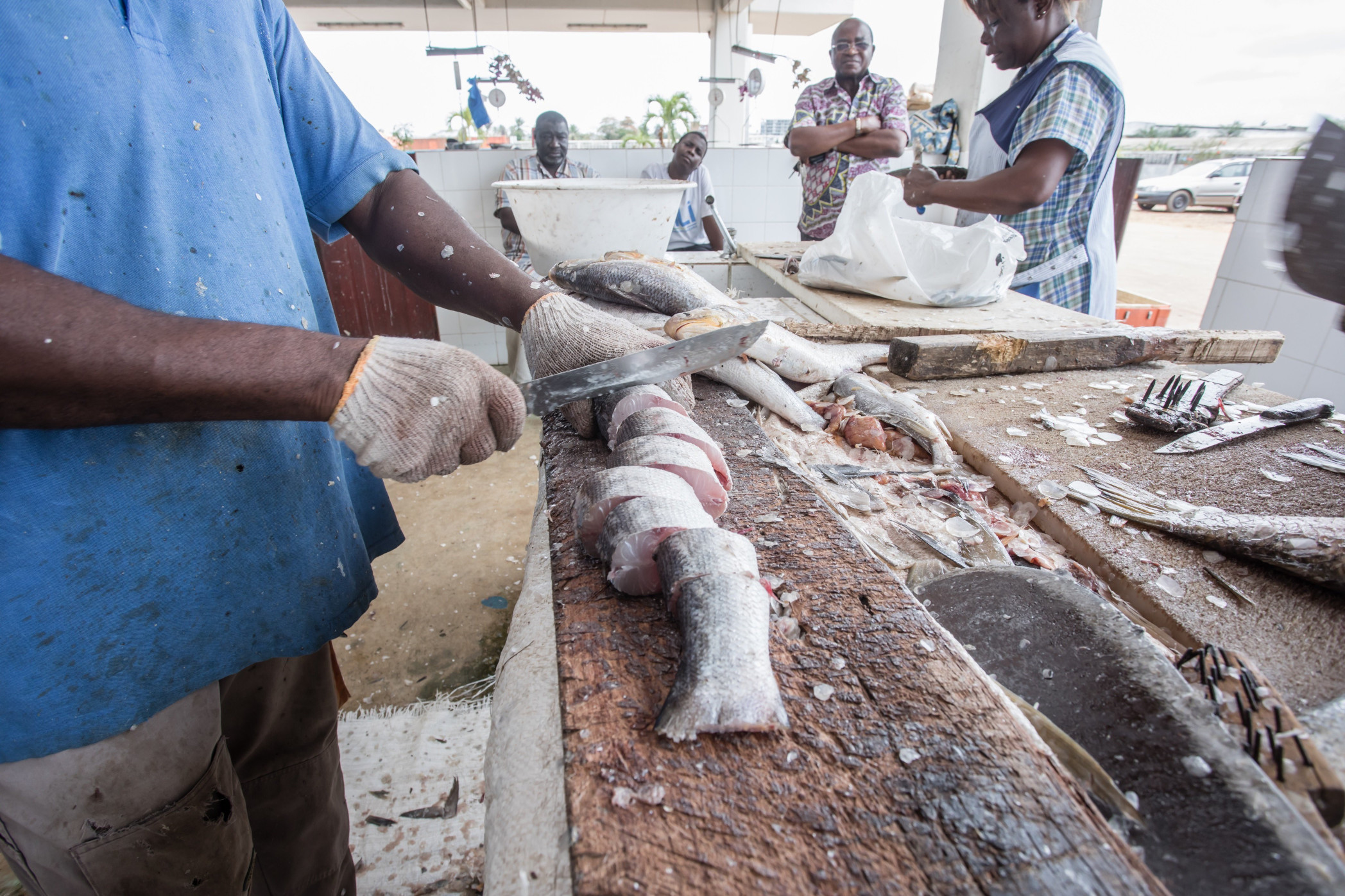 La Sifrigab ambitionne de traiter 10 000 tonnes de thon par an et créer 4000 emplois au Gabon