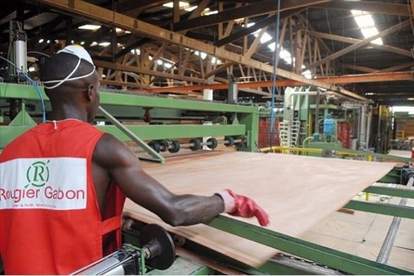 Secteur bois : en 2022 le français Rougier a produit 434.798 m3 de grumes au Gabon, en hausse de 38 %