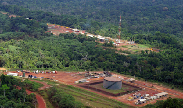 Baisse de 49% du chiffre d&#039;affaires du pétrolier Maurel &amp; Prom au premier semestre 2020 au Gabon