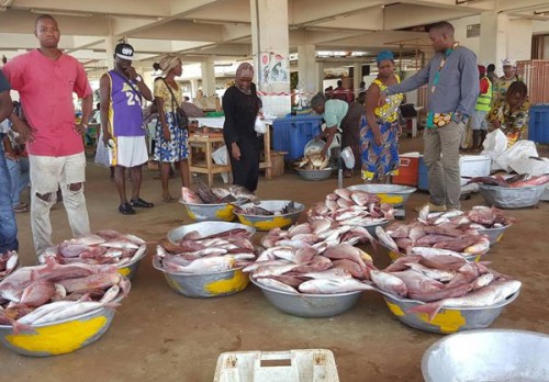 Le Gabon va évaluer ses stocks halieutiques démersaux exploités dans la Zone économique exclusive