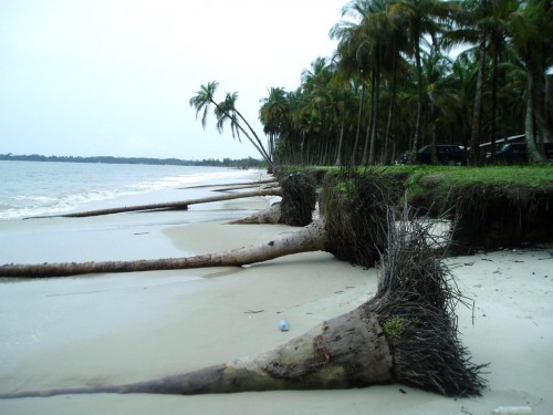 Bientôt un Master en environnements littoraux et marins dans les universités du Gabon et du Cameroun