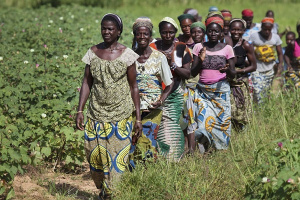 Travail : le Gabon souhaite réduire les inégalités homme-femme et les discriminations