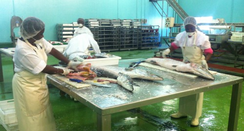 Le gouvernement fixe les conditions d’exercice de la pêche au Gabon