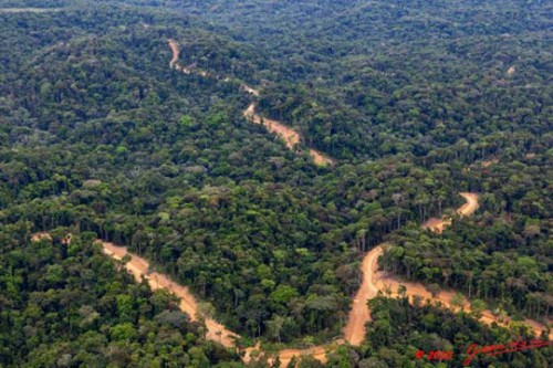 Un projet de loi sur le Code forestier sera présenté à la fin du mois de mars 2016