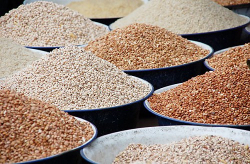 L’Oriam prépare une distribution de semences à Ntoum