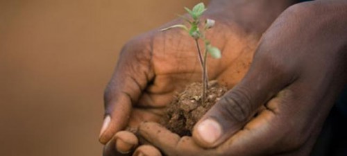 COP21 : le Gabon et la France préparent la signature des Accords de Paris