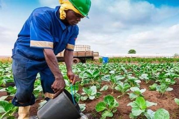 Okoume capital recherche 20 entreprises à incuber pour la 3e vague du projet « Fabrique des Champions »